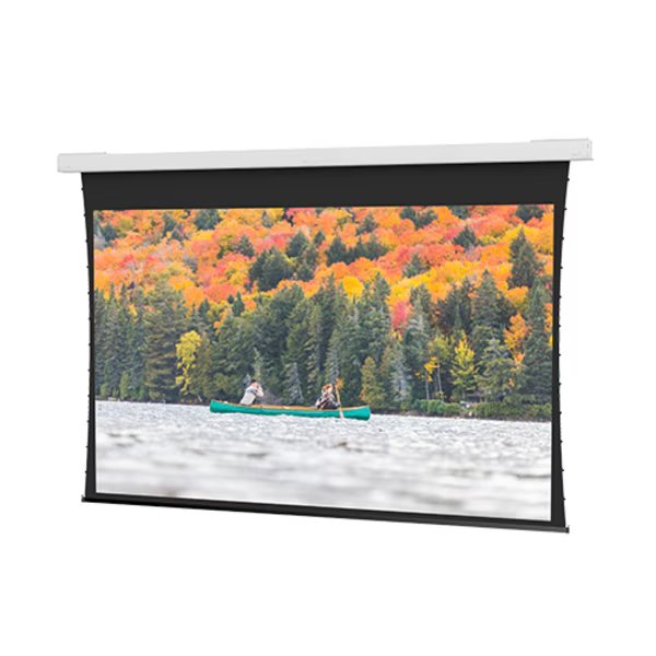 Tnsd Descenderpro Dm 119D 58X104, Da-Lite, Mfr#: 29800LS